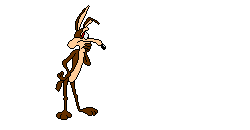 coyote96.gif